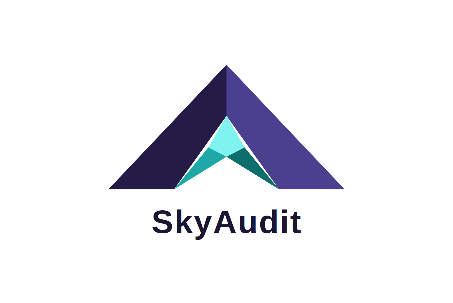 SkyAudit